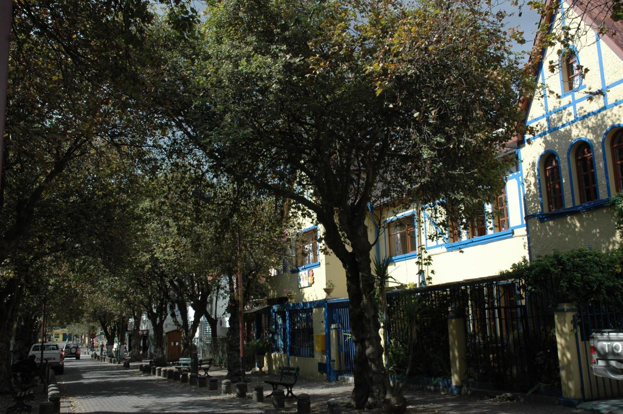 Hostal Posada Del Maple Quito Exterior photo