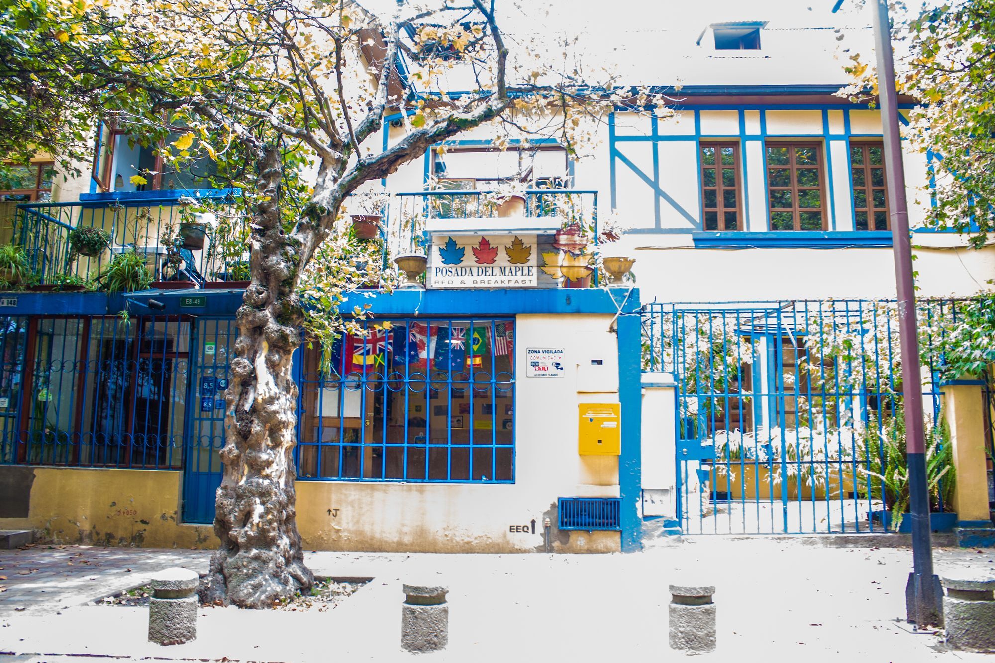 Hostal Posada Del Maple Quito Exterior photo